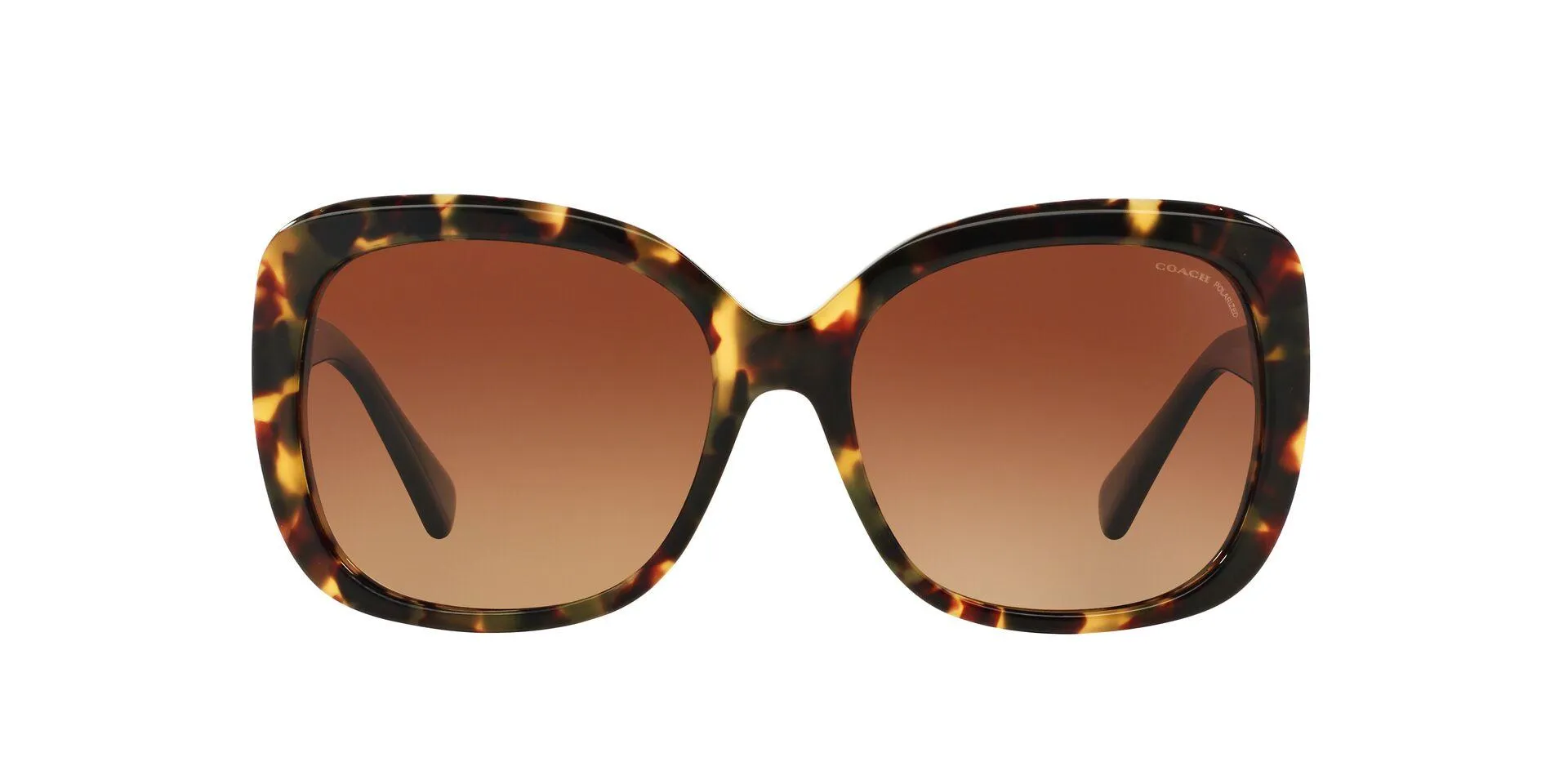 Coach L139 8158 Sunglasses