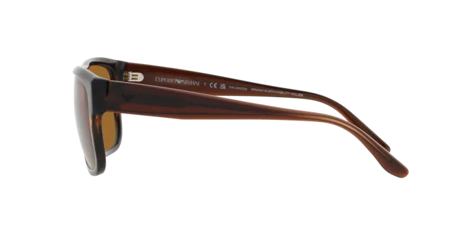 Emporio Armani EA4197 587983