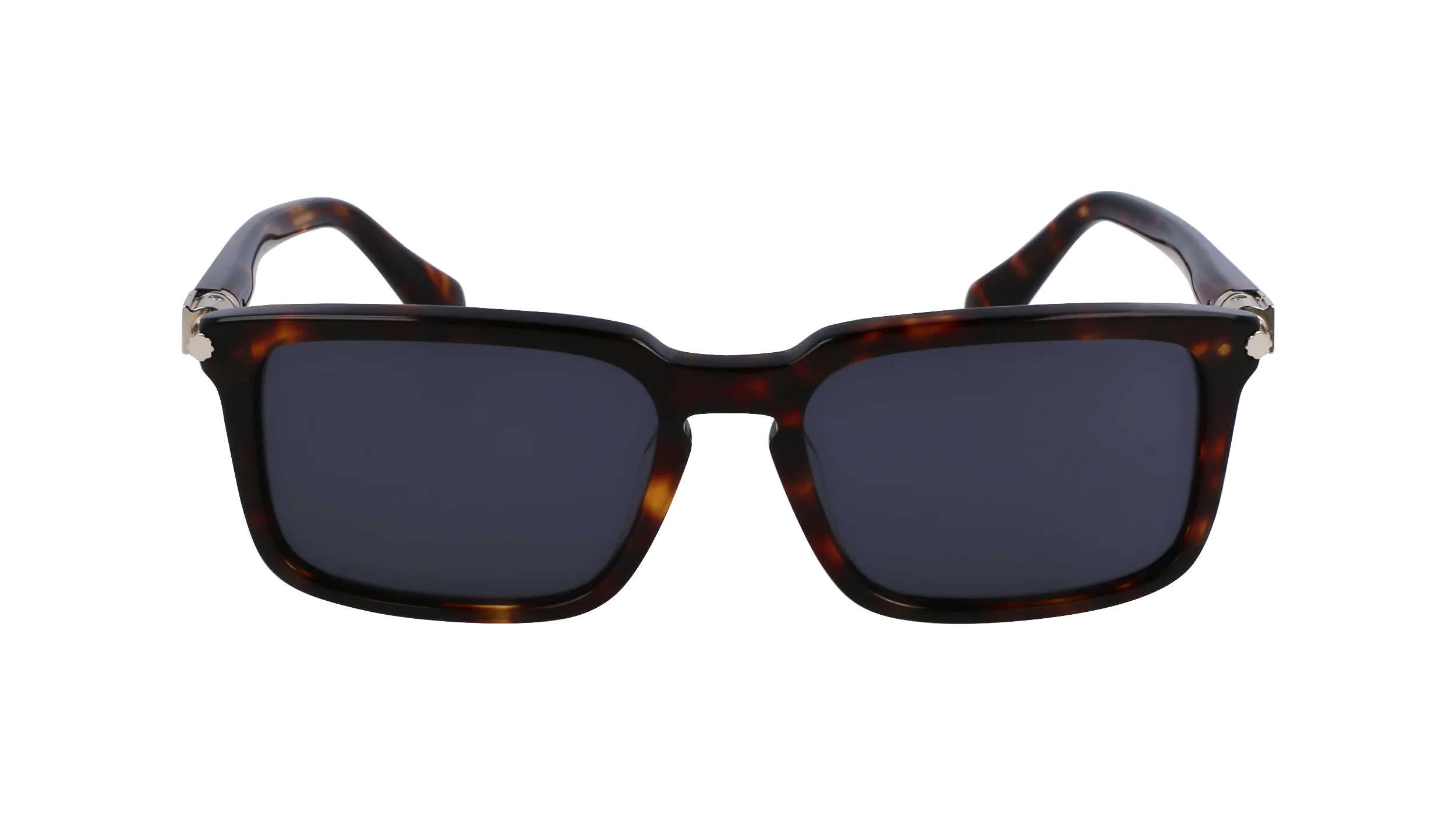 Ferragamo SF1110S 242