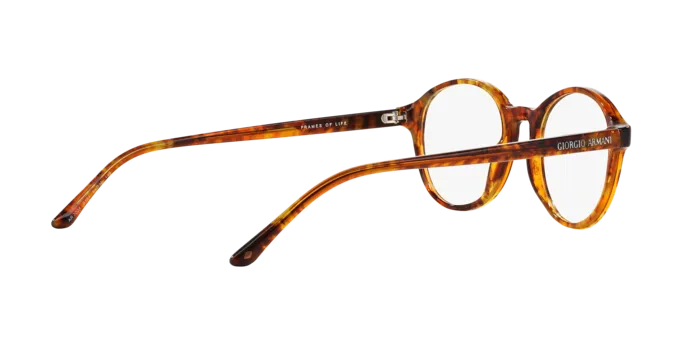 Giorgio Armani AR7004 5191