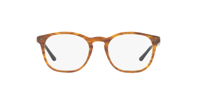 Giorgio Armani AR7074 5562