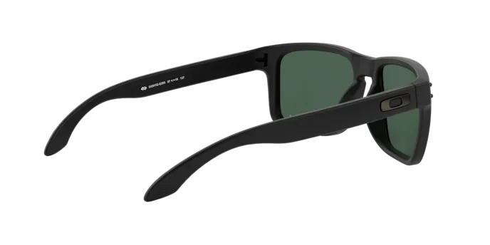 Oakley Holbrook OO9102 9102E2
