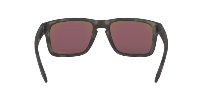 Oakley Holbrook OO9102 9102G7