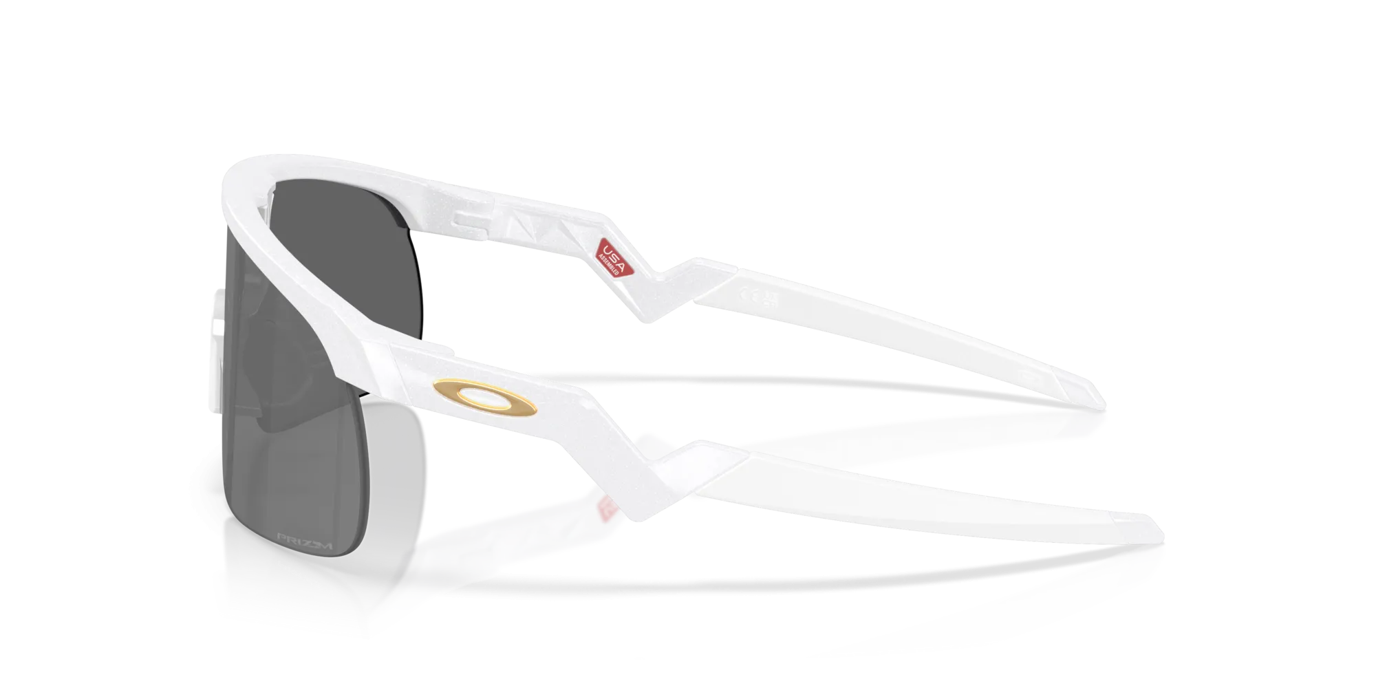 Oakley Resistor OJ9010 901030
