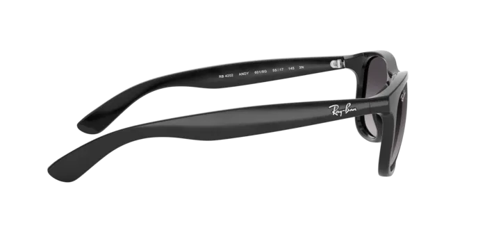 Ray-Ban Andy RB4202 601/8G