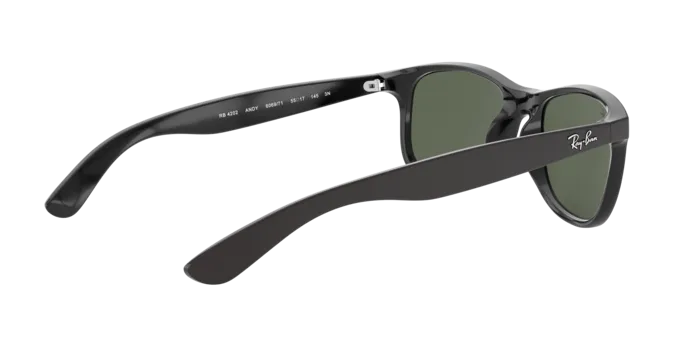 Ray-Ban Andy RB4202 606971