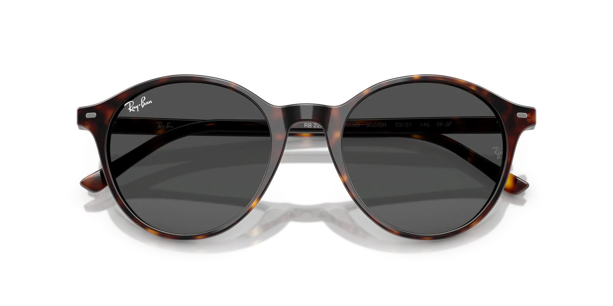 Ray-Ban Bernard RB2230 902/GH