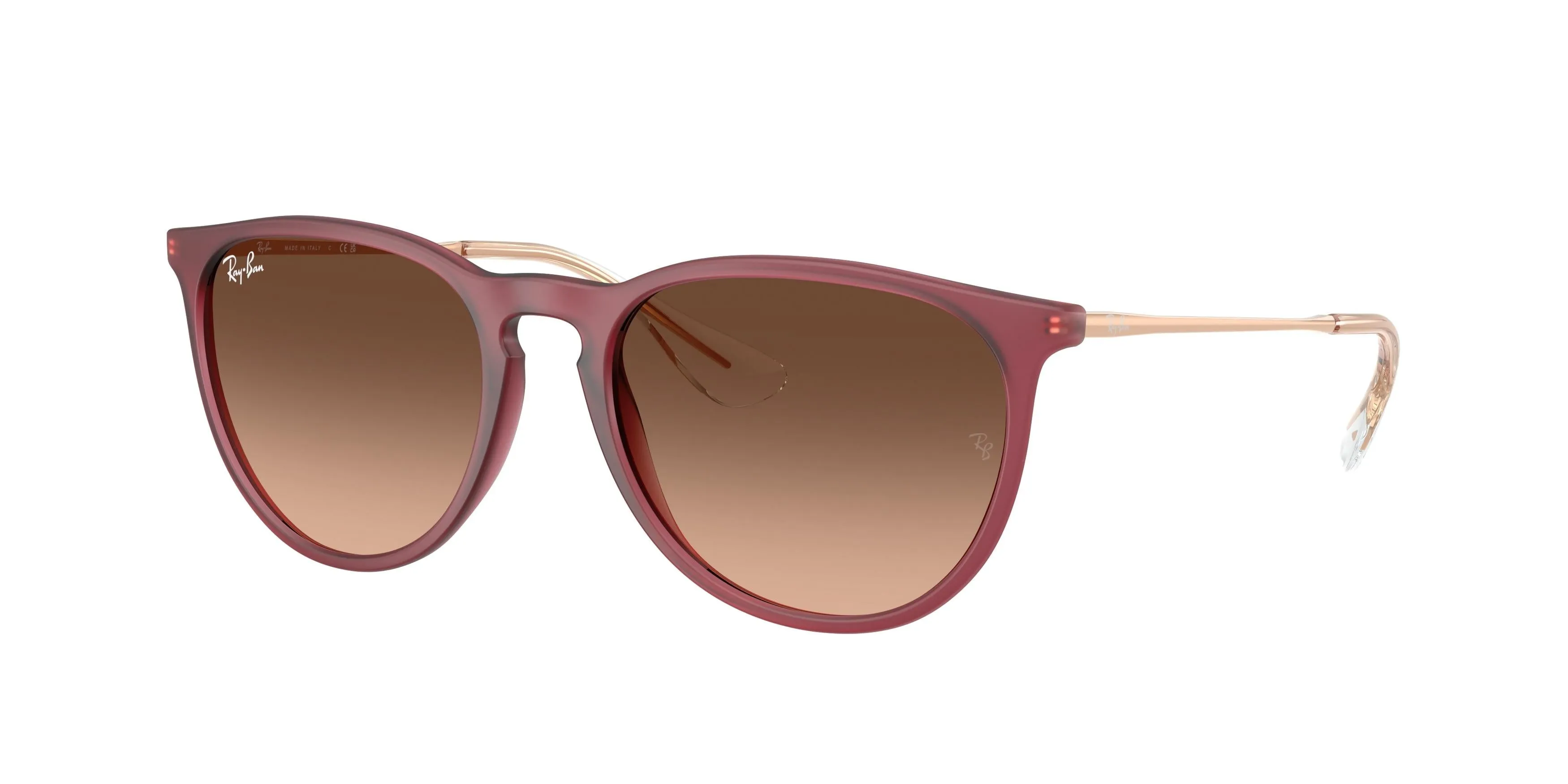 Ray-Ban Erika 4171 Sunglasses