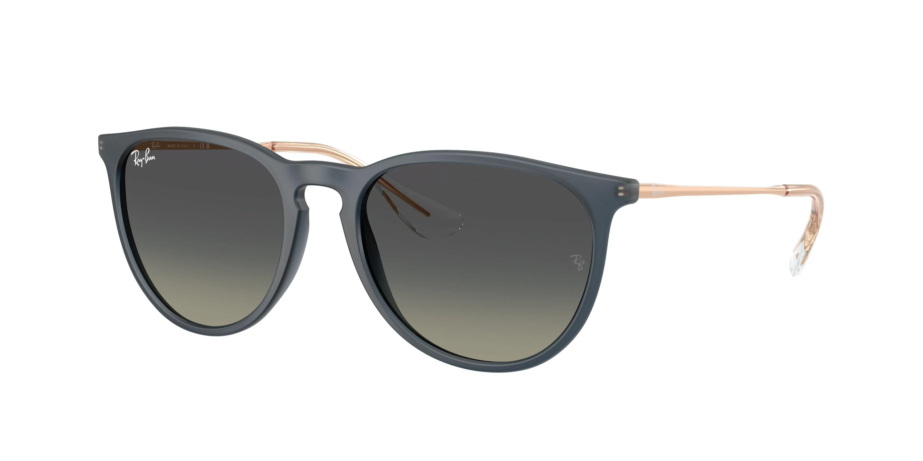 Ray-Ban Erika 4171 Sunglasses