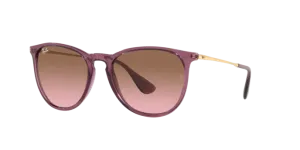 Ray-Ban Erika RB4171 659114