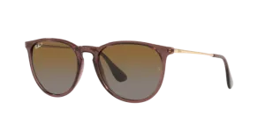 Ray-Ban Erika RB4171 6593T5