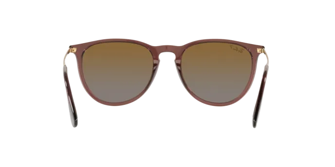 Ray-Ban Erika RB4171 6593T5