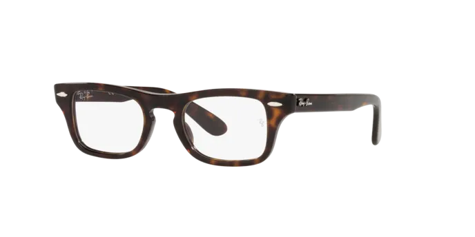 Ray-Ban Junior Burbank RY9083V 3887