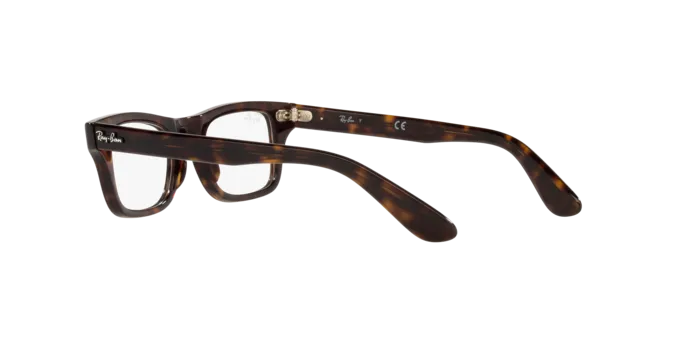 Ray-Ban Junior Burbank RY9083V 3887