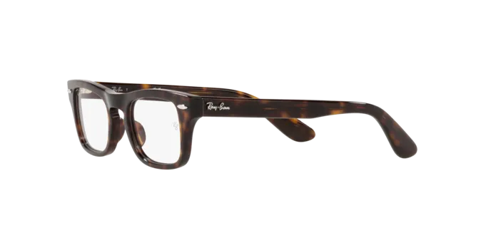 Ray-Ban Junior Burbank RY9083V 3887