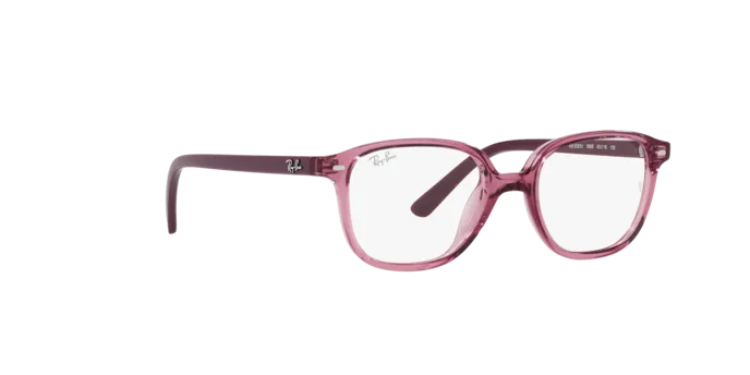 Ray-Ban Junior Leonard RY9093V 3898