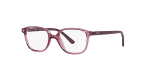 Ray-Ban Junior Leonard RY9093V 3898