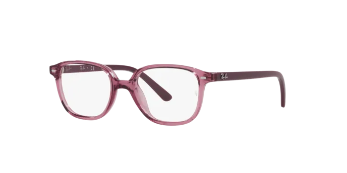 Ray-Ban Junior Leonard RY9093V 3898