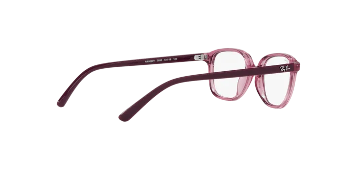 Ray-Ban Junior Leonard RY9093V 3898