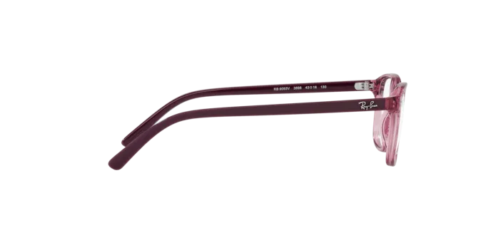 Ray-Ban Junior Leonard RY9093V 3898