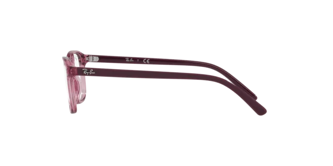 Ray-Ban Junior Leonard RY9093V 3898