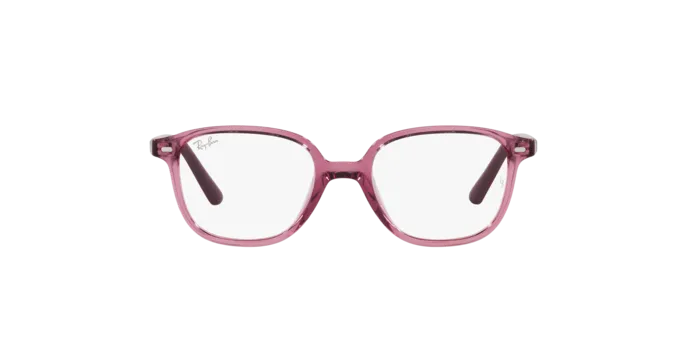 Ray-Ban Junior Leonard RY9093V 3898