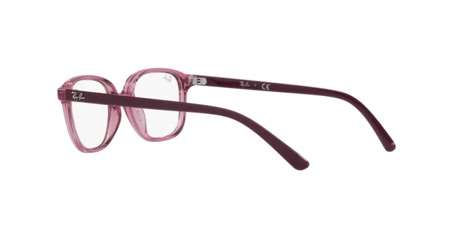 Ray-Ban Junior Leonard RY9093V 3898