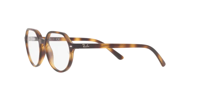 Ray-Ban Junior Thalia RY9095V 3685