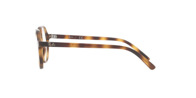 Ray-Ban Junior Thalia RY9095V 3685