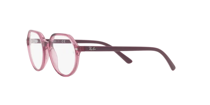 Ray-Ban Junior Thalia RY9095V 3898