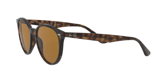 Ray-Ban RB4305 710/83