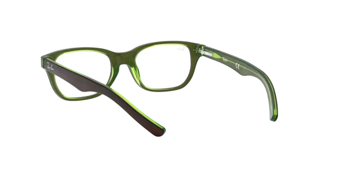 Ray-Ban RY1555 3665