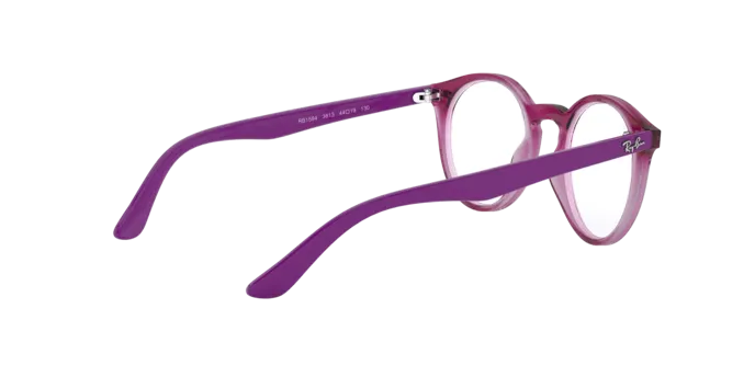 Ray-Ban RY1594 3813