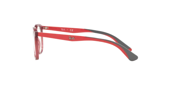 Ray-Ban RY1604 3866