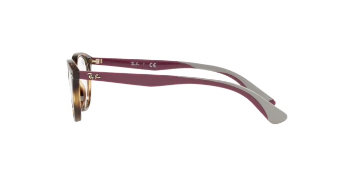 Ray-Ban RY1612 3904