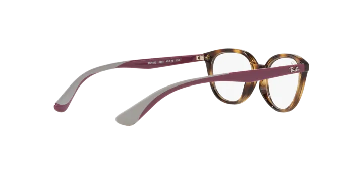 Ray-Ban RY1612 3904