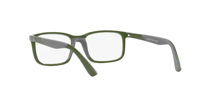 Ray-Ban RY1621 3932