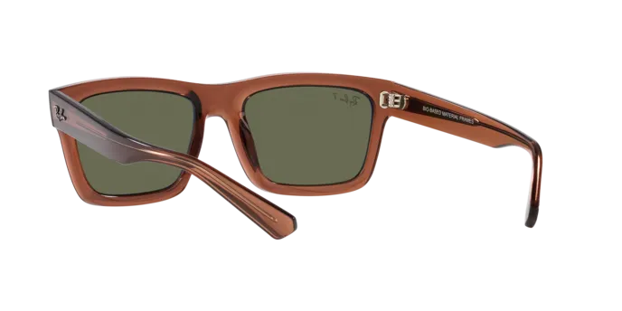 Ray-Ban Warren RB4396 66789A