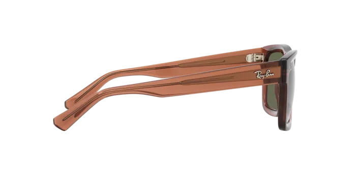 Ray-Ban Warren RB4396 66789A