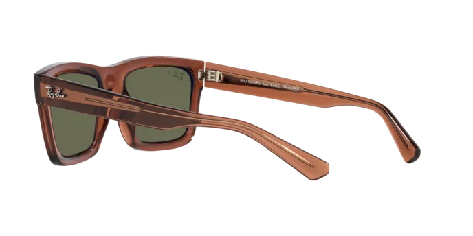 Ray-Ban Warren RB4396 66789A
