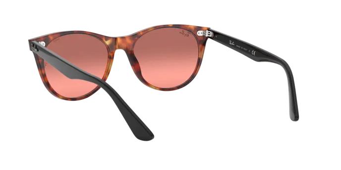 Ray-Ban Wayfarer Ii RB2185 1250AD
