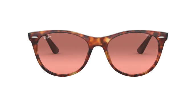 Ray-Ban Wayfarer Ii RB2185 1250AD