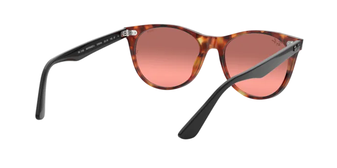 Ray-Ban Wayfarer Ii RB2185 1250AD