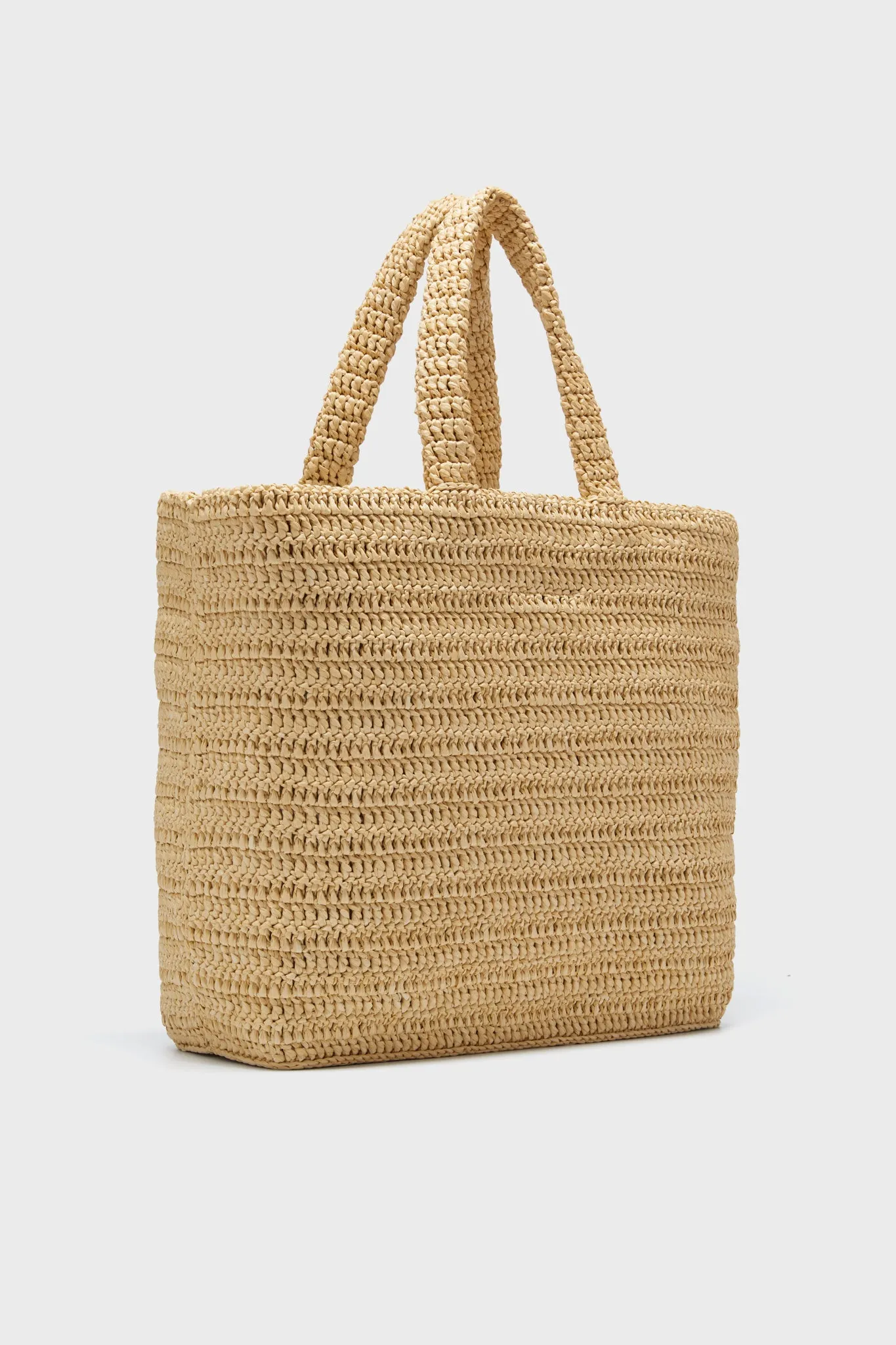 Saint Laurent Raffia Rive Gauche Tote Bag