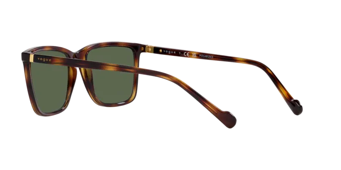 Vogue Eyewear VO5493S 27189A