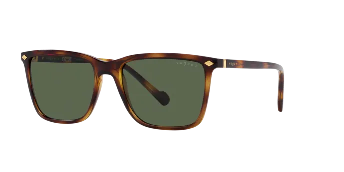 Vogue Eyewear VO5493S 27189A
