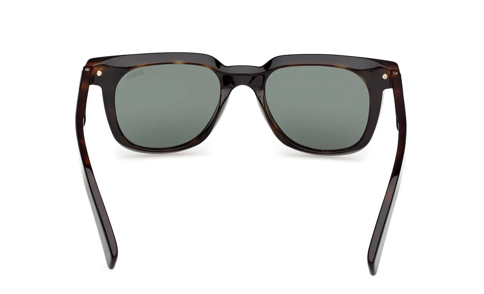 Zegna EZ0248 05R